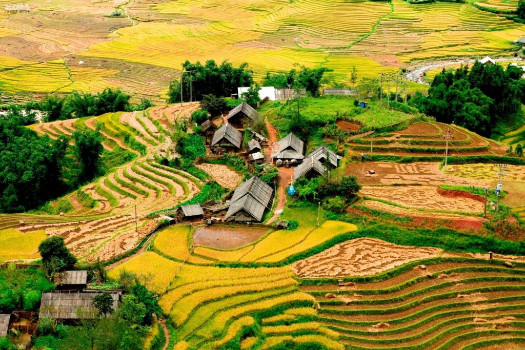 A Vietnam discovery trip from the North to the South